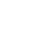 Apple icon
